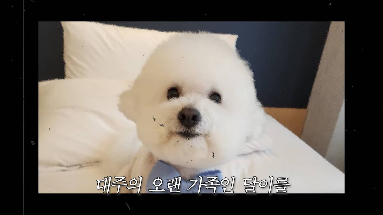 컨텐츠 금광, 컨텐츠 노다지, 어디까지 뽑을수있는지 궁금해지는 나영석네 유투브 | 인스티즈