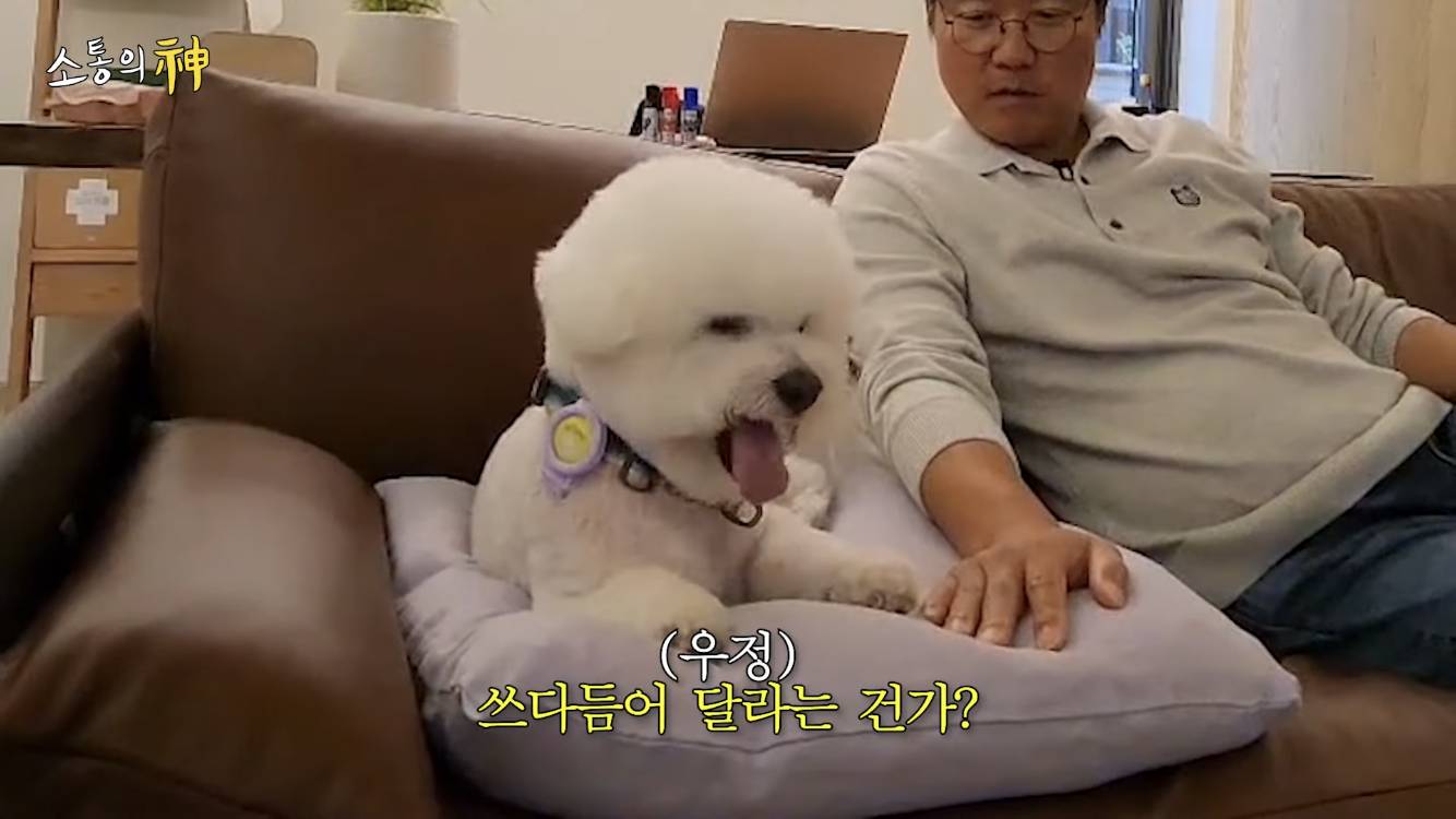 컨텐츠 금광, 컨텐츠 노다지, 어디까지 뽑을수있는지 궁금해지는 나영석네 유투브 | 인스티즈