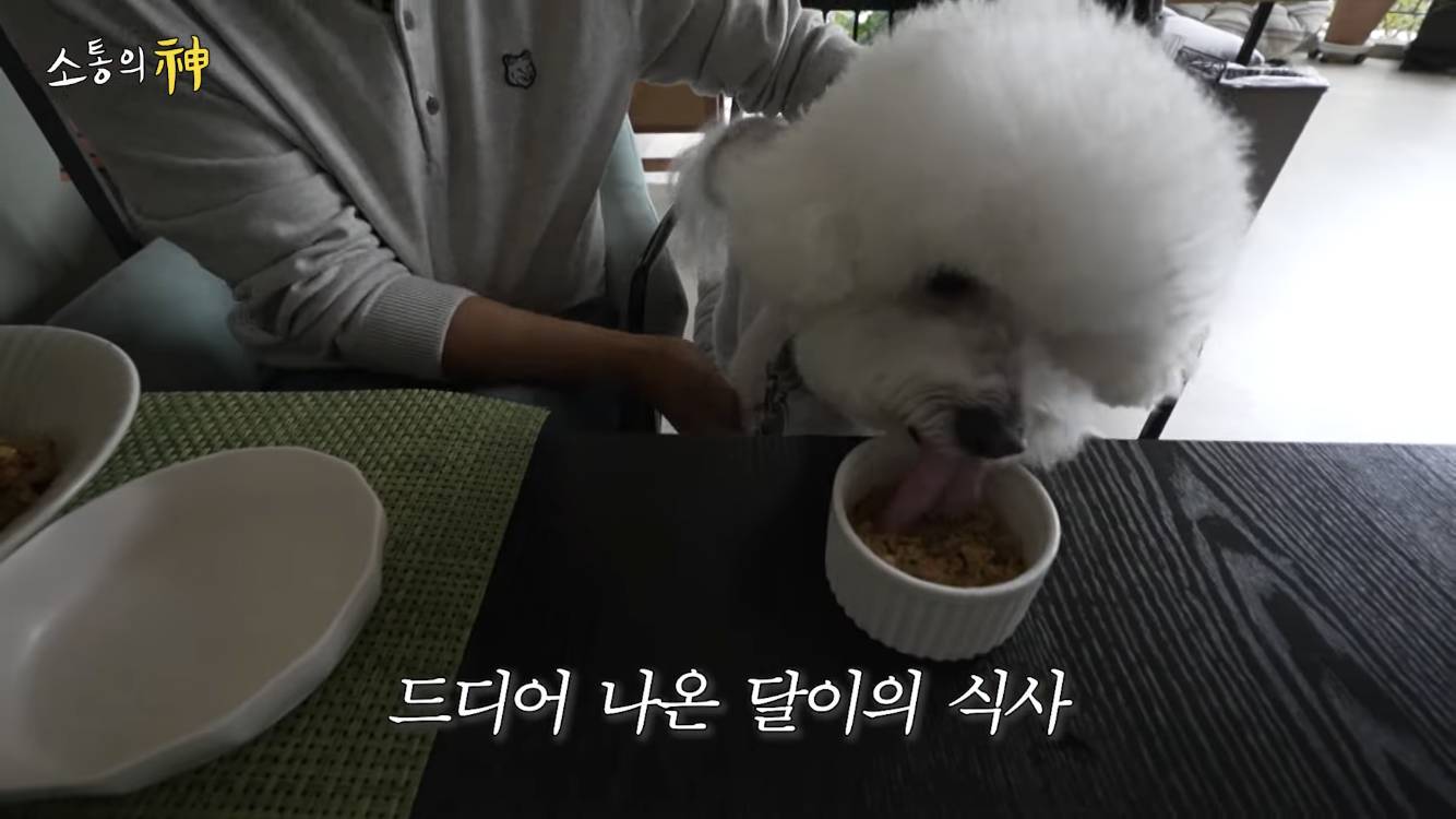 컨텐츠 금광, 컨텐츠 노다지, 어디까지 뽑을수있는지 궁금해지는 나영석네 유투브 | 인스티즈