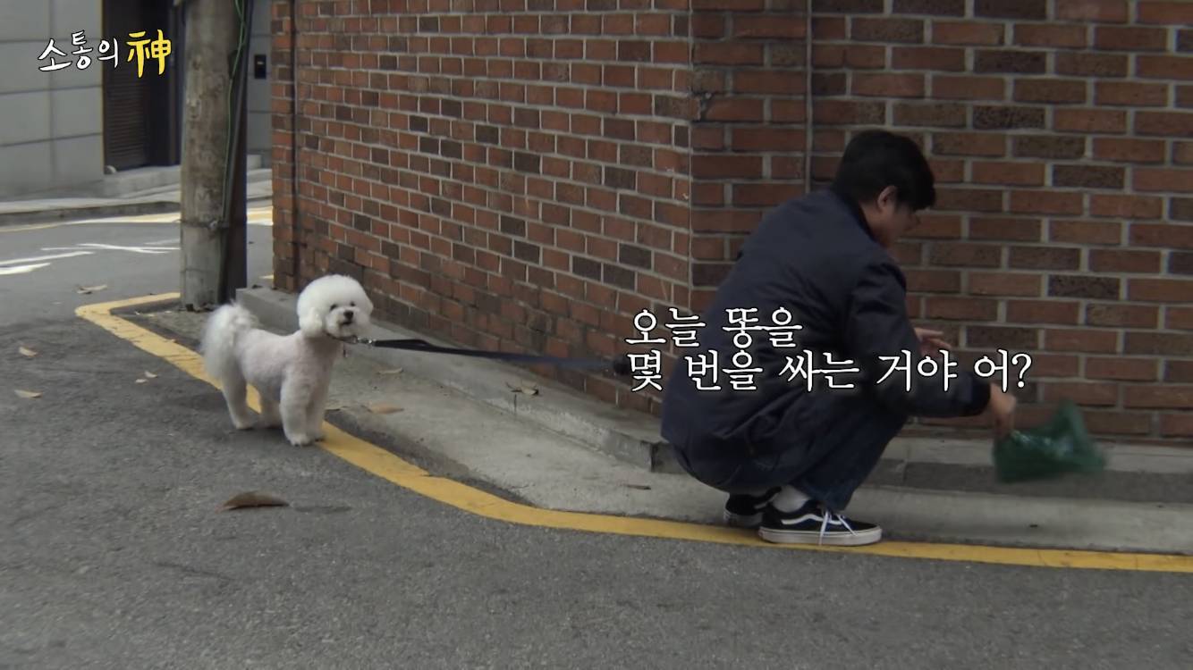 컨텐츠 금광, 컨텐츠 노다지, 어디까지 뽑을수있는지 궁금해지는 나영석네 유투브 | 인스티즈