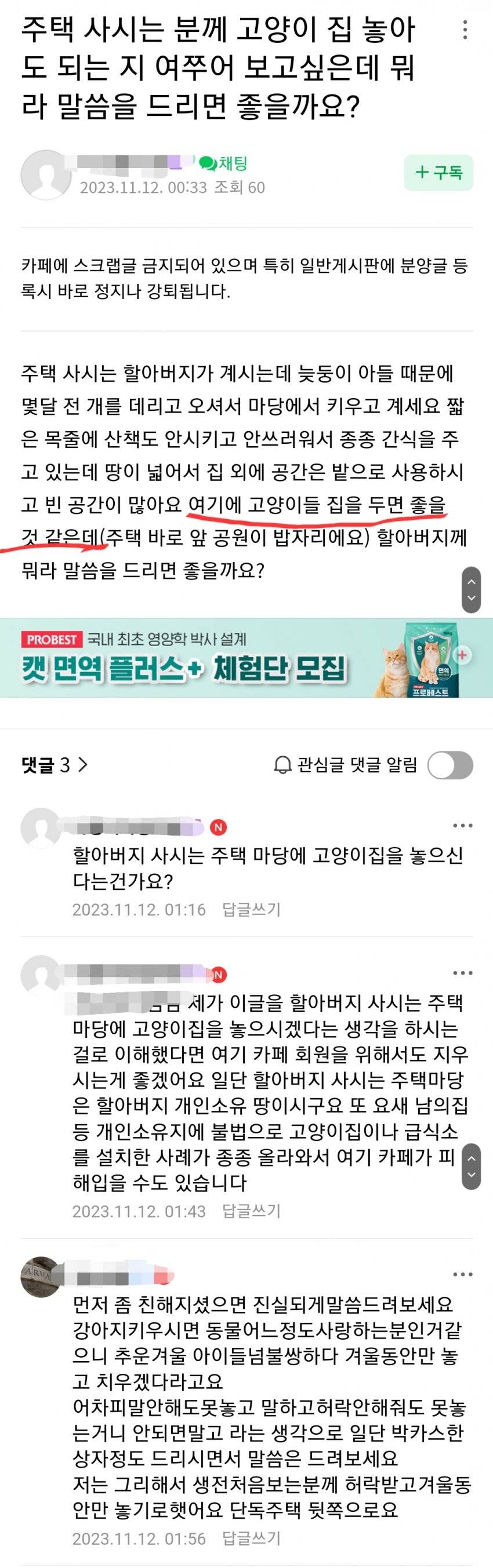 남의 주택 마당에 고양이 집 놓으려는 캣맘 | 인스티즈