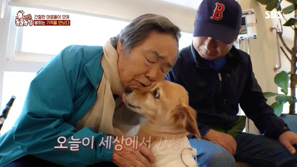 결국 80대 할머님을 울게 만든 방송국 제작진들..jpgif | 인스티즈