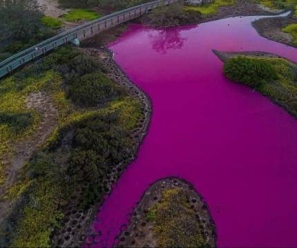 산불 났던 하와이..이번엔 연못이 분홍색으로 변했다 | 인스티즈