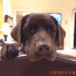 이거 가능하신분 | 인스티즈