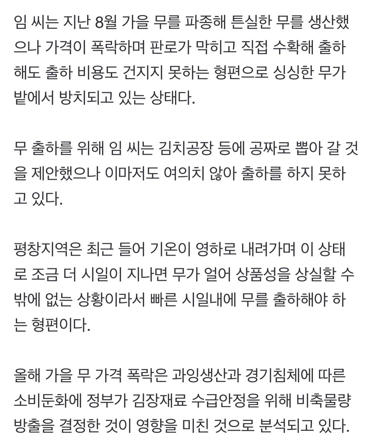 "공짜도 안 가져가" 출하 못한 평창 고랭지무 산지폐기 위기 | 인스티즈