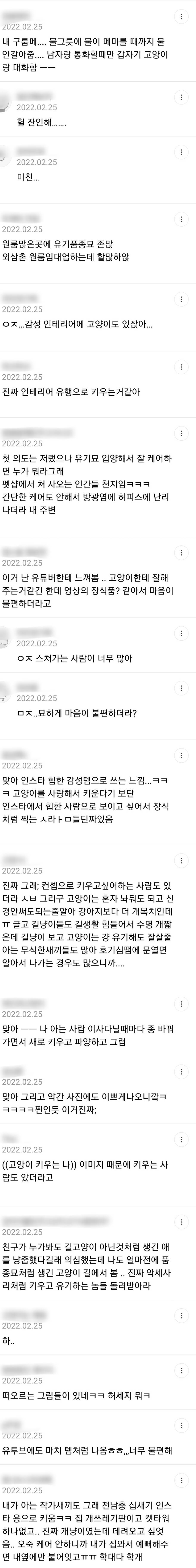 고양이를 