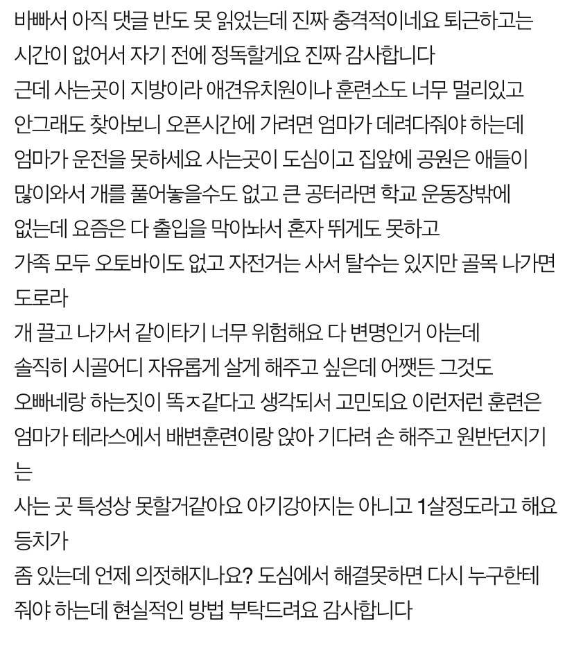 개는 도대체 산책을 얼마나 시켜야하나요 미치겠어요 | 인스티즈