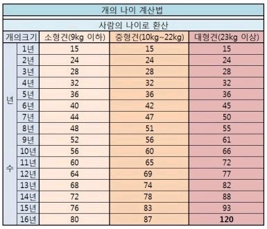 강아지와 사람의 나이 비교 | 인스티즈