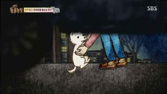 쉬지않고 아파트를 맴도는 개.jpg | 인스티즈