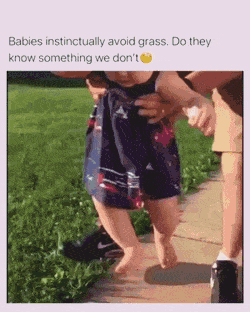잔디밭이 싫은 아기 | 인스티즈