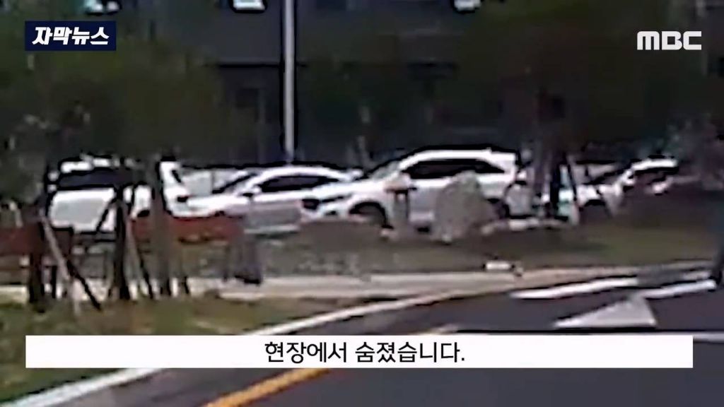 음주차량에 치어 15m 날아간 엄마 | 인스티즈