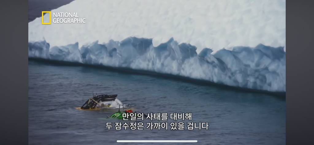 대왕오징어를 찾아라-남극해의 빙산 아래 신비로운 심해 생명체들(심해주의 해산물주의) | 인스티즈