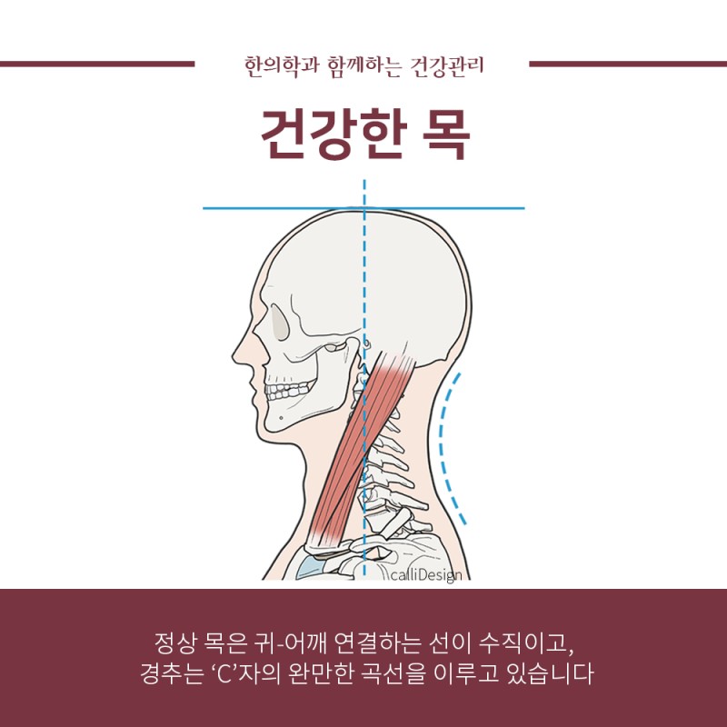 이중 한곳만 아픔없이 평생 건강함을 유지할 수 있다면 | 인스티즈