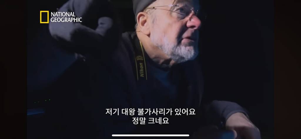 대왕오징어를 찾아라-남극해의 빙산 아래 신비로운 심해 생명체들(심해주의 해산물주의) | 인스티즈