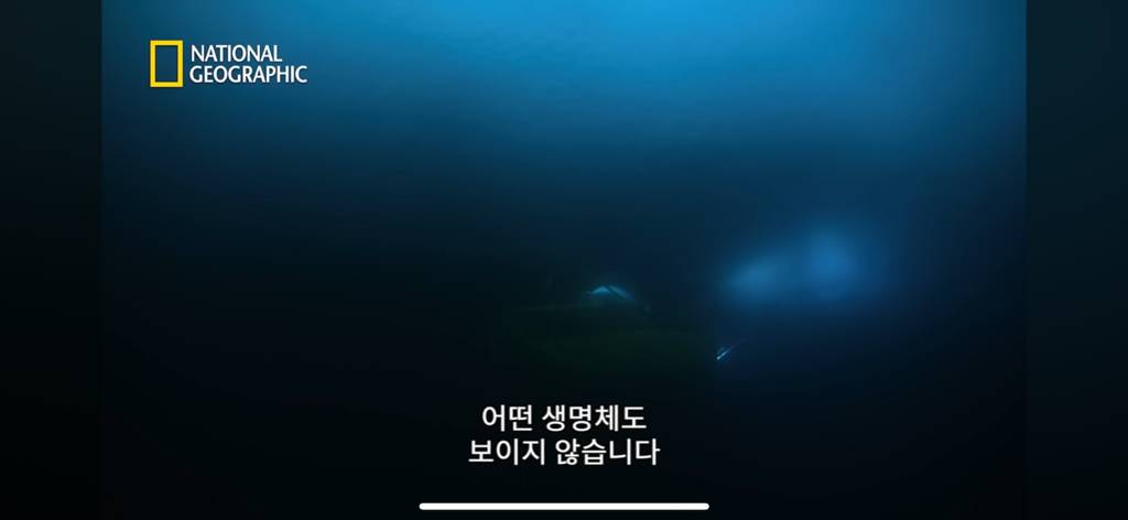 대왕오징어를 찾아라-남극해의 빙산 아래 신비로운 심해 생명체들(심해주의 해산물주의) | 인스티즈