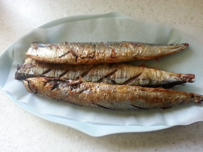 생선구이중 최고는? | 인스티즈