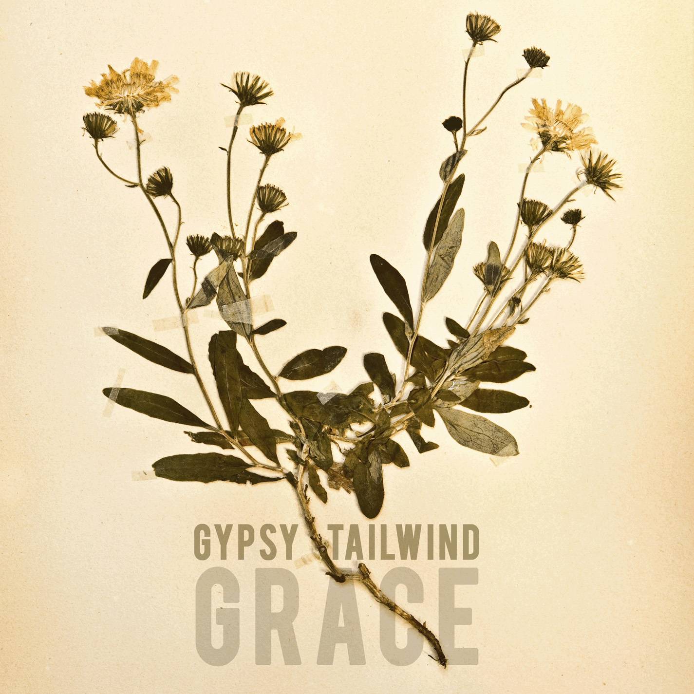 [미리듣기] Gypsy Tailwind - Grace | 인스티즈