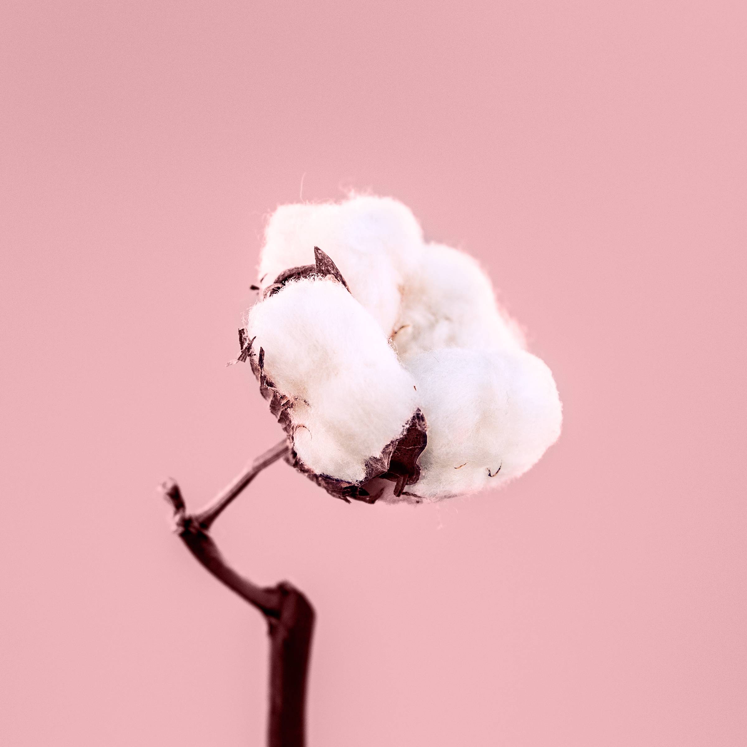 [미리듣기] 김슬기 - 2년째 연애중 | 인스티즈