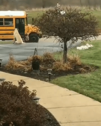 아침 임무 완료.gif | 인스티즈