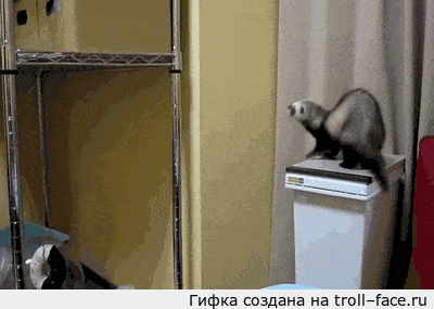 기달리면 뜀 | 인스티즈