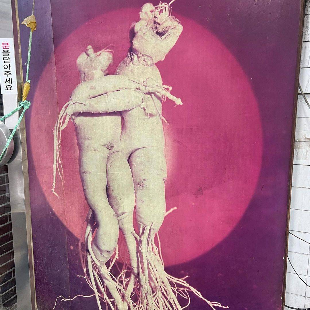 주드로 딸이 어제 인스타 피드에 올린 한국여행 사진 | 인스티즈