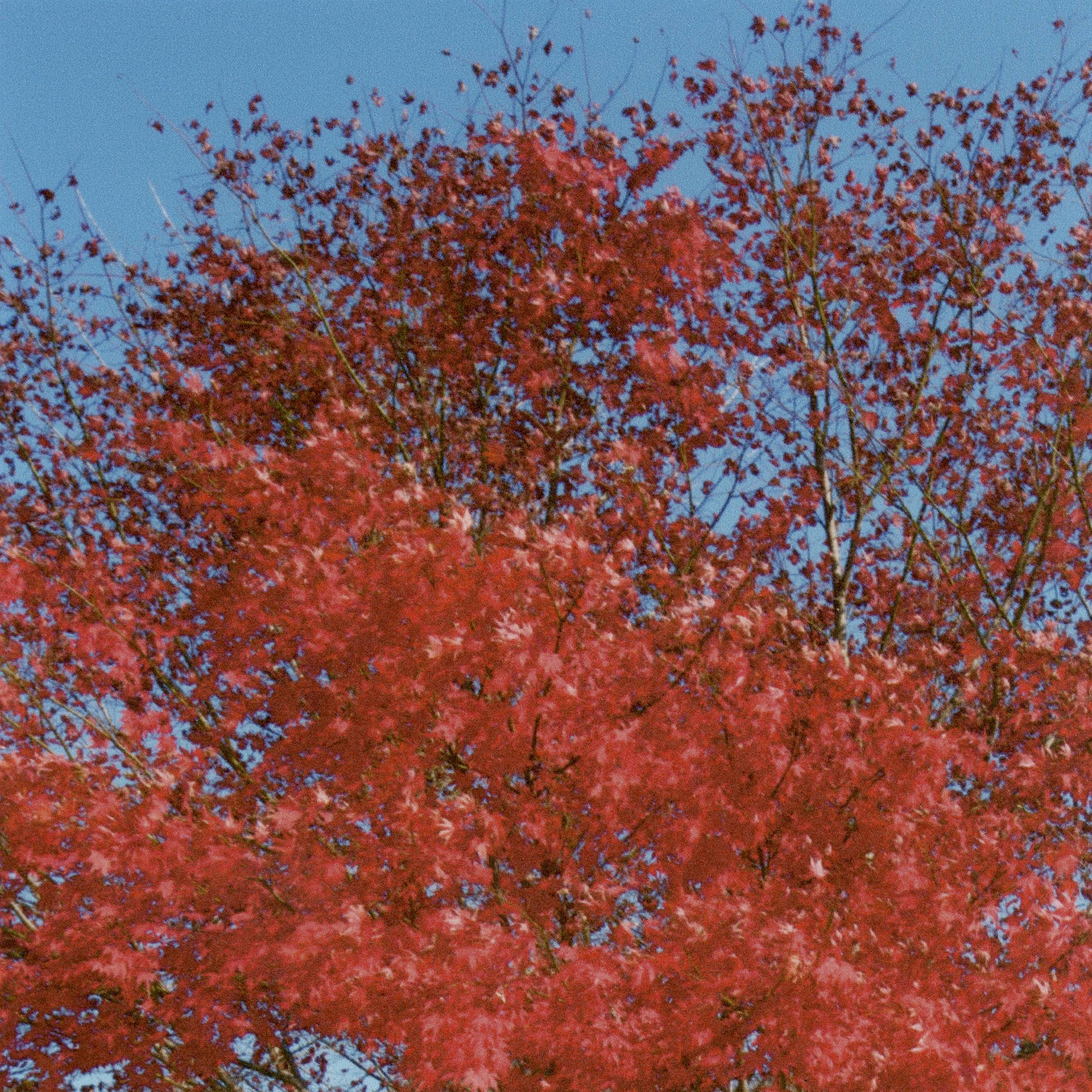 [미리듣기] 윤덕원 - 왜죠 | 인스티즈