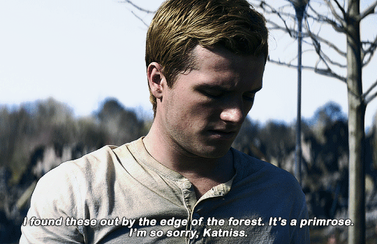 [헝거게임] 보다 보면 캣니스가 피타 민들레 타령하는 것도 이해되는 게 | 인스티즈