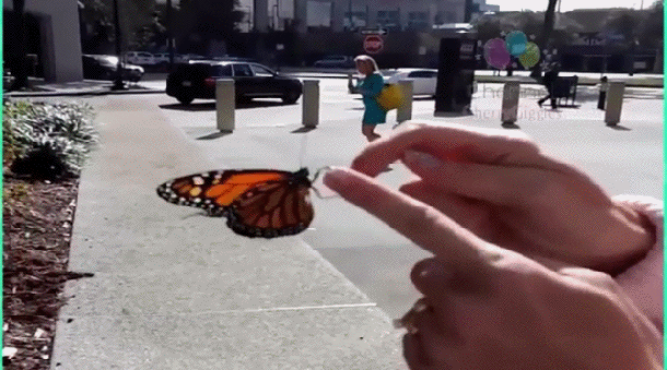 가서 잘 살아라 ~ | 인스티즈