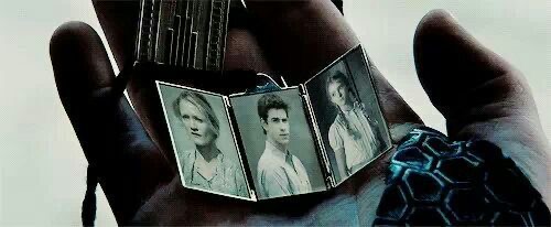 [헝거게임] 보다 보면 캣니스가 피타 민들레 타령하는 것도 이해되는 게 | 인스티즈