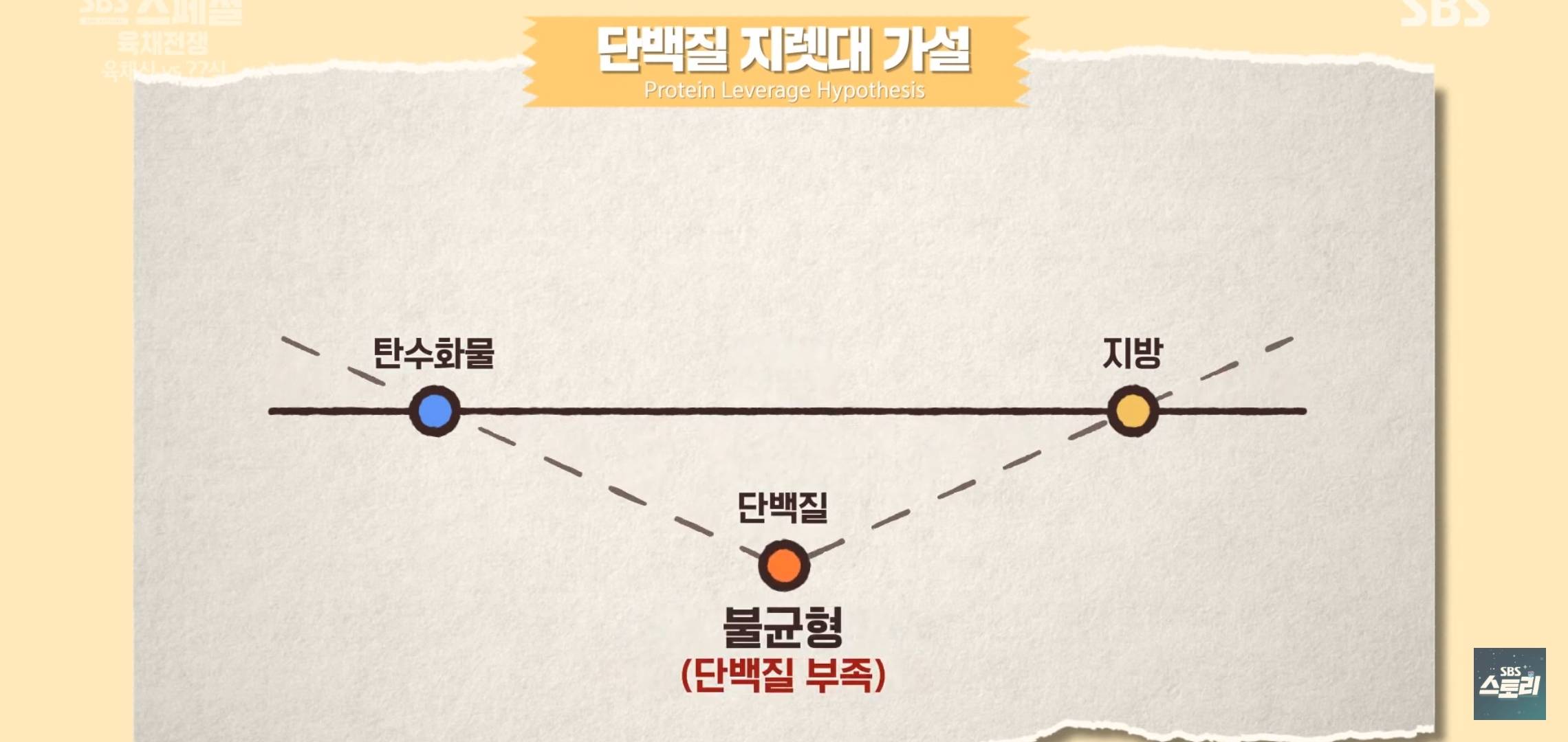 식이조절 하는 여시들은 참고하면 좋을.... 식욕을 조절하는 '단백질 지렛대'의 원리 | 인스티즈