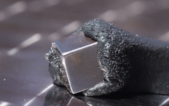 자석이가 철이를 많이 좋아하는듯.jpgif | 인스티즈