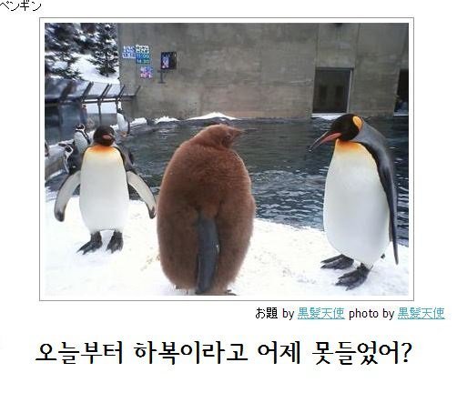 제목학원 레전드 모음 | 인스티즈