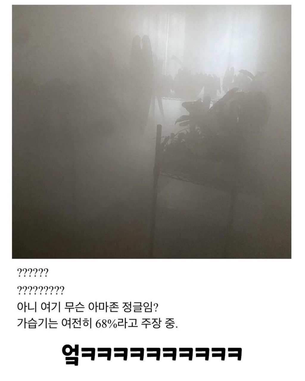 가습기 성능 미쳤다; | 인스티즈