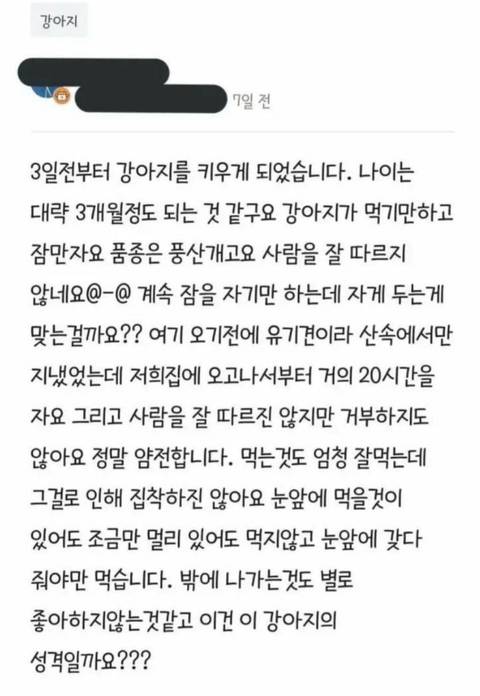 강아지가 너무 잡니다. 이유가 있을까요? | 인스티즈