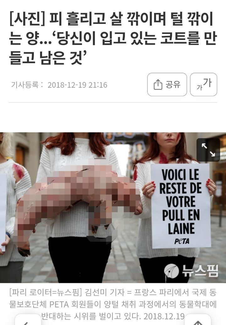 일부 사람들이 어그부츠 안 신는 이유 | 인스티즈