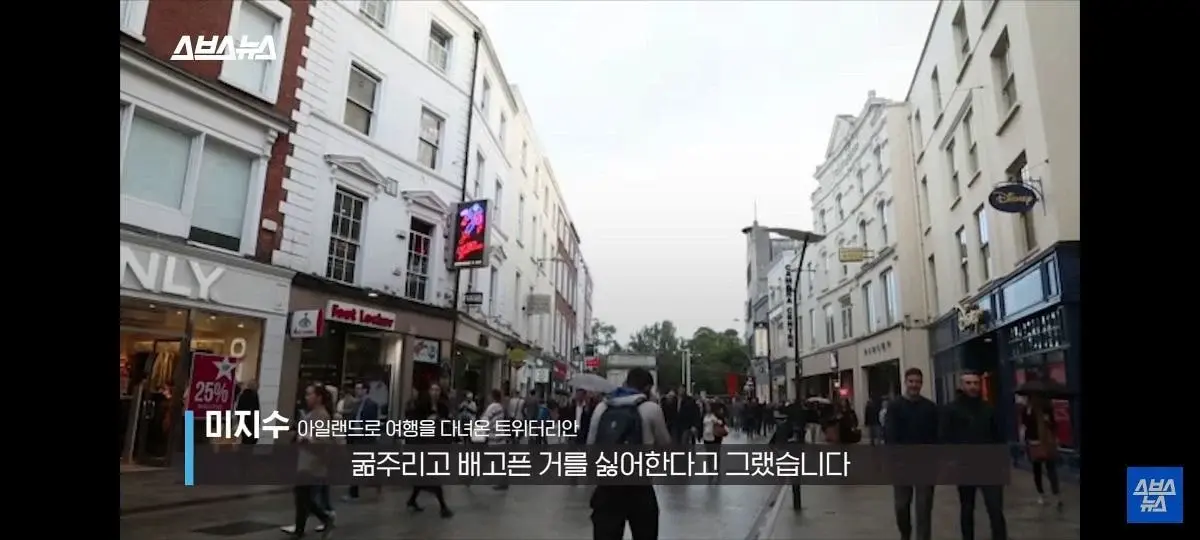 아일랜드 음식양이 많은 이유 | 인스티즈