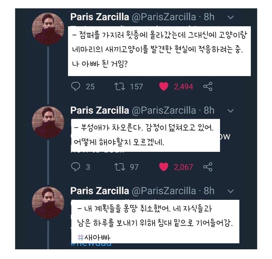 우울증 걸린 사람집에 고양이가 들어옴 | 인스티즈