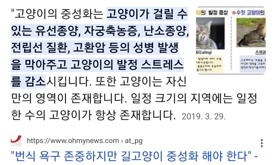 집 마당에 고양이가 나타나는 족족 다 잡아버리는 유튜버..jpg | 인스티즈
