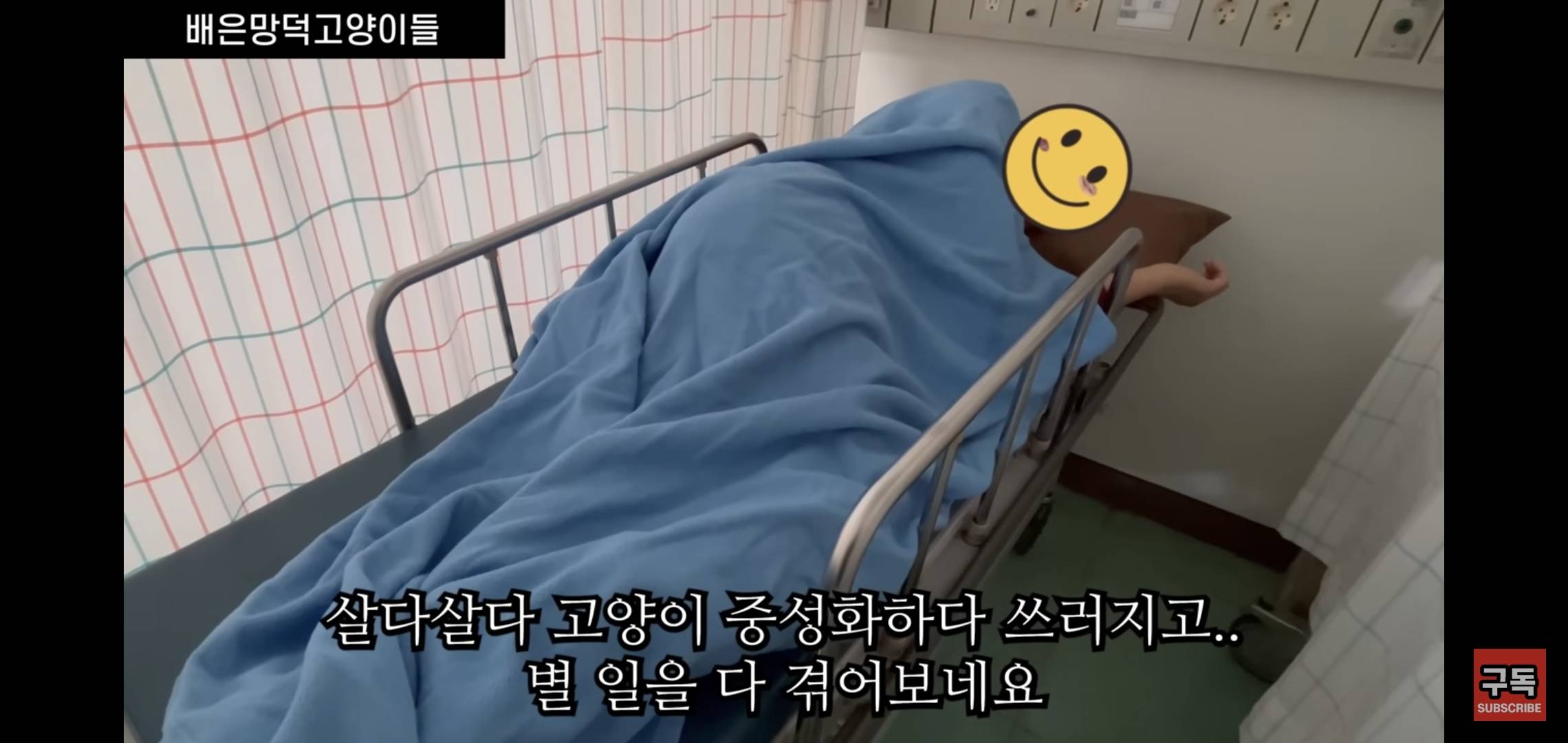 집 마당에 고양이가 나타나는 족족 다 잡아버리는 유튜버..jpg | 인스티즈