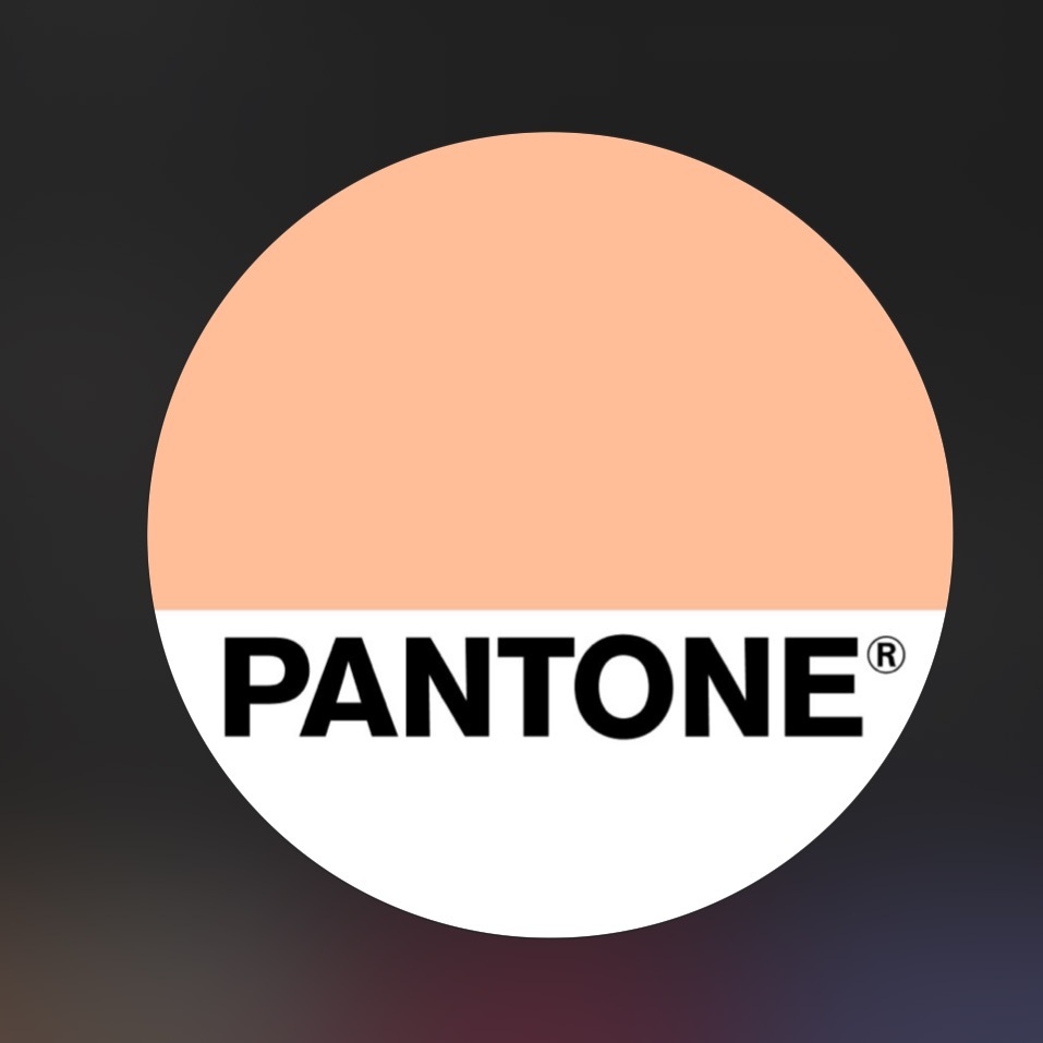 [Pantone] 팬톤 2024 올해의 컬러 'peach fuzz' | 인스티즈