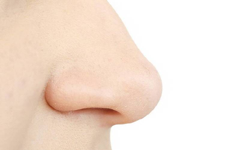 내 오감 중에서 가장 발달한 감각은? | 인스티즈