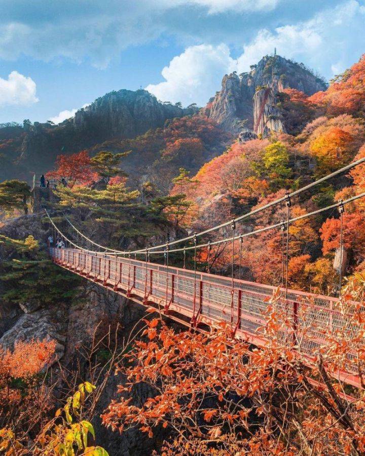 외국인들이 찍은 한국 가을 풍경 | 인스티즈
