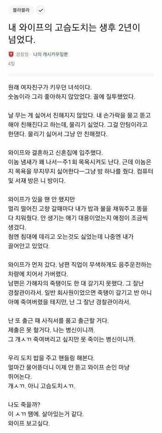 내 와이프의 고슴도치는 생후 2년이 넘었다 | 인스티즈