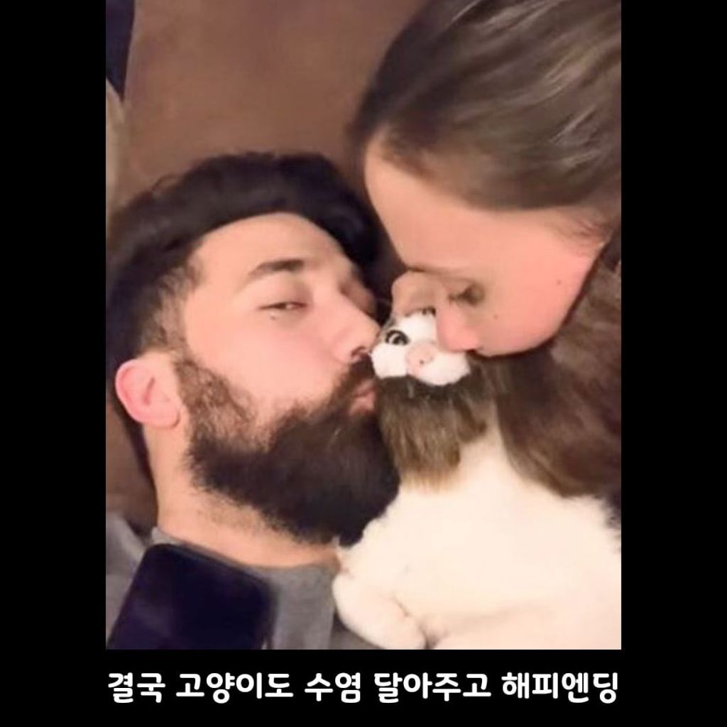 고양이가 남편만 좋아했던 이유 | 인스티즈