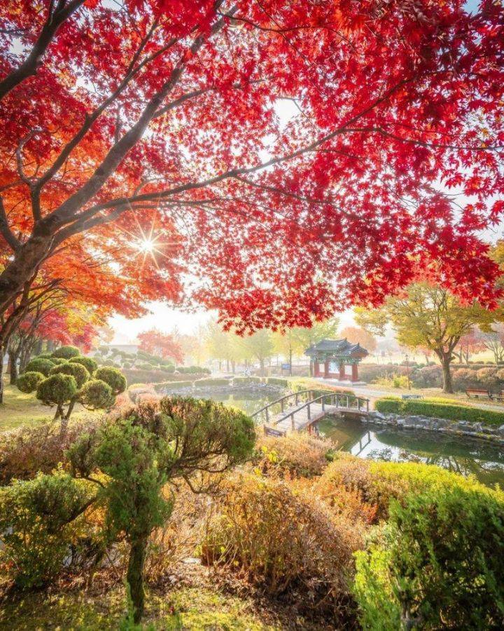 외국인들이 찍은 한국 가을 풍경 | 인스티즈