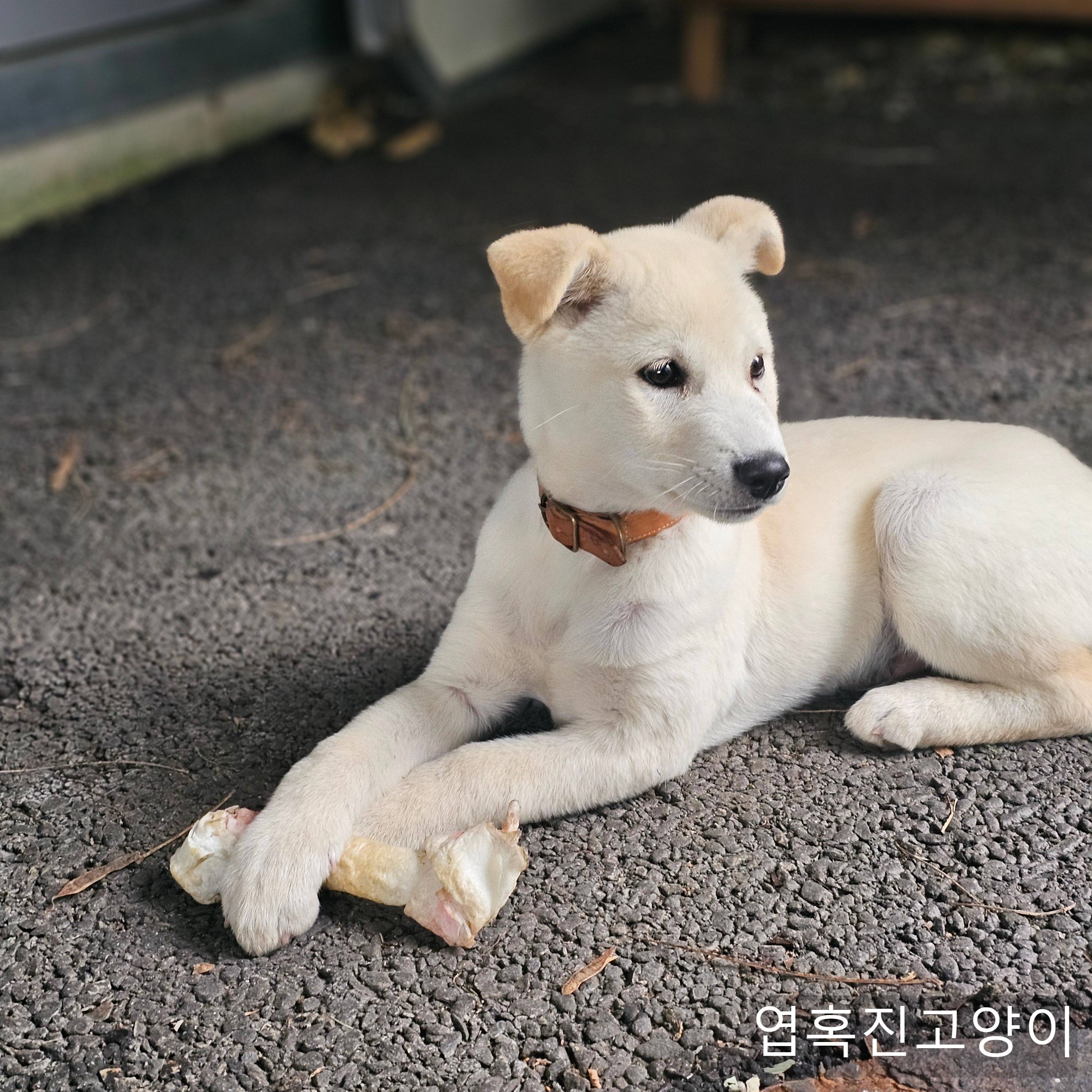 우리회사 복지자랑ㅎ | 인스티즈