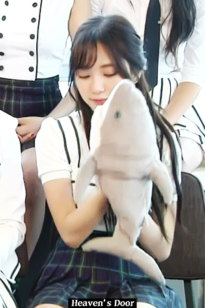 상어와 노는 맹아 | 인스티즈