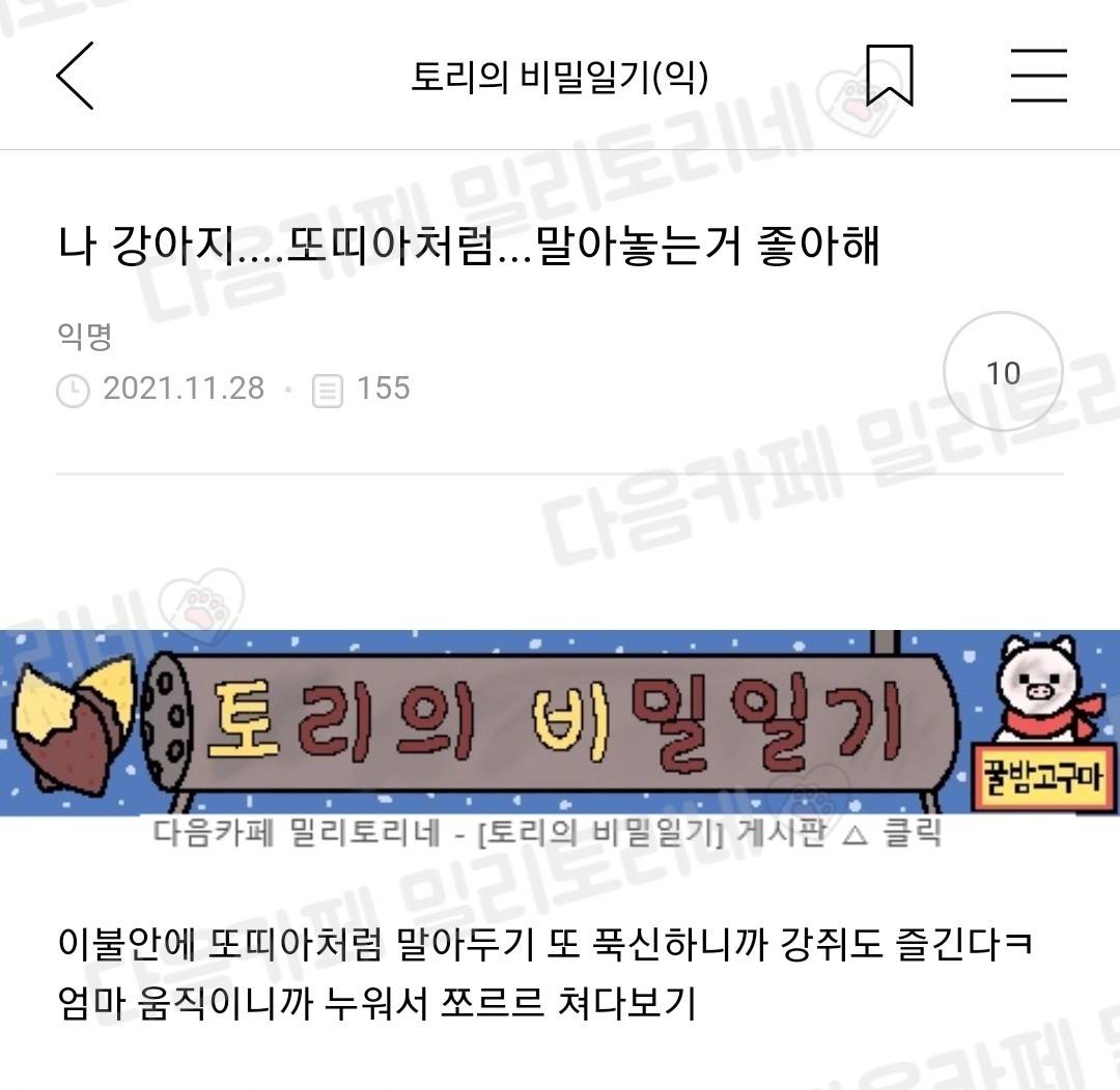 [냥귀염] 나 강아지....또띠아처럼...말아놓는거 좋아해 | 인스티즈