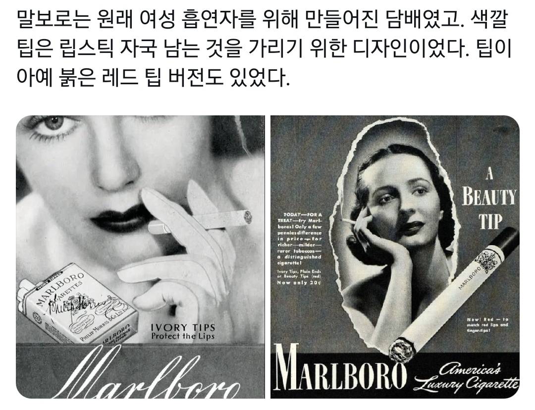 현재 담배 디자인은 여성 흡연자들을 위한 거였음.twt | 인스티즈