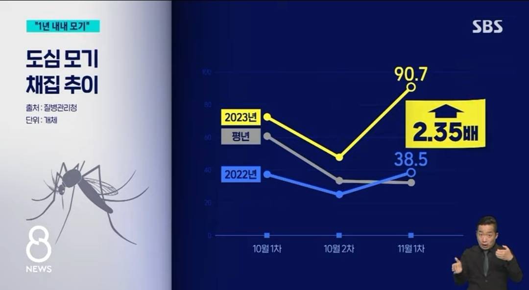 앞으로 한국에서 1년 내내 볼수 있을 것으로 예상하는 것 | 인스티즈